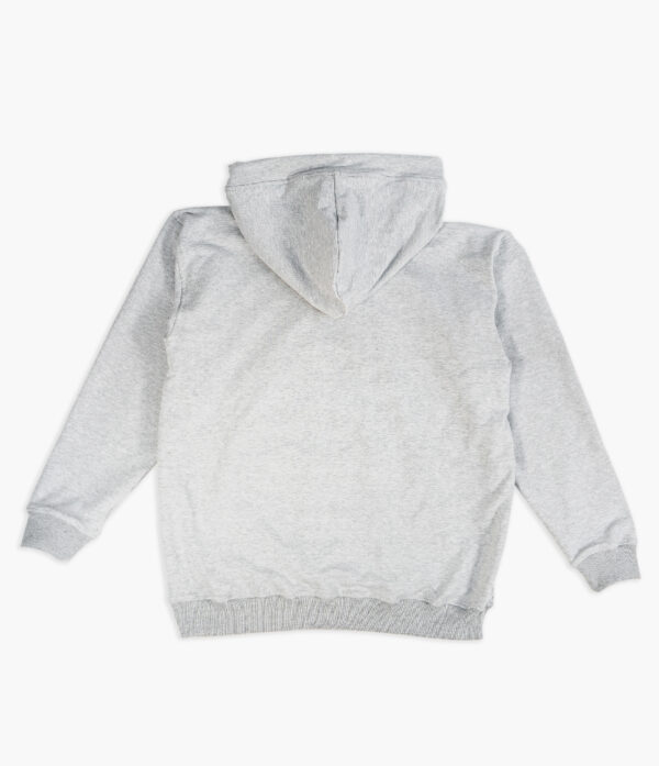 Hoodie Block Gray